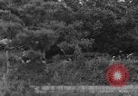 Image troupes chinoises communistes Kaesong Corée, 1951, de la seconde 35 séquences d'archives historiques vidéo 65675072263