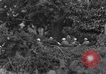 Image troupes chinoises communistes Kaesong Corée, 1951, de la seconde 42 séquences d'archives historiques vidéo 65675072263