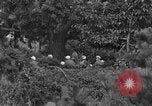 Image troupes chinoises communistes Kaesong Corée, 1951, de la seconde 43 séquences d'archives historiques vidéo 65675072263