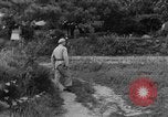 Image troupes chinoises communistes Kaesong Corée, 1951, de la seconde 60 séquences d'archives historiques vidéo 65675072263