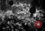 Standbild Karneval Rio de Janeiro Brasilien, 1942, aus Sekunde 55 historischem Filmmaterial Videoclip 65675072271