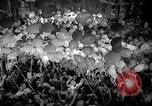 Standbild Karneval Rio de Janeiro Brasilien, 1942, aus Sekunde 57 historischem Filmmaterial Videoclip 65675072271