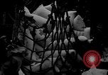 Image of SS Kassandra Louloudis United States USA, 1941, second 18 stock footage video 65675072292