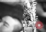 Image of Japanese submarine Indian Ocean, 1942, second 1 stock footage video 65675072304