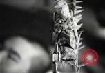 Image of Japanese submarine Indian Ocean, 1942, second 4 stock footage video 65675072304
