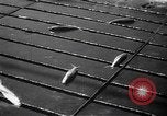Image of Japanese submarine Indian Ocean, 1942, second 34 stock footage video 65675072305