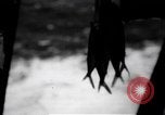 Image of Japanese submarine Indian Ocean, 1942, second 54 stock footage video 65675072305