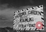 Immagine di Cove City Honolulu Hawaii USA, 1942, secondo 6 filmato di repertorio 65675072316