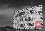Immagine di Cove City Honolulu Hawaii USA, 1942, secondo 15 filmato di repertorio 65675072316