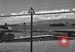 Immagine di Cove City Honolulu Hawaii USA, 1942, secondo 37 filmato di repertorio 65675072316
