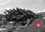 Standbild Schule Kinder Hawaii USA, 1942, aus Sekunde 61 historischem Filmmaterial Videoclip 65675072318