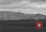 Image avions de chasse américains Hawaii USA, 1942, de la seconde 12 séquences d'archives historiques vidéo 65675072319