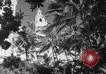 Image avions de chasse américains Hawaii USA, 1942, de la seconde 24 séquences d'archives historiques vidéo 65675072319