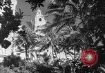 Image avions de chasse américains Hawaii USA, 1942, de la seconde 25 séquences d'archives historiques vidéo 65675072319