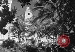 Image avions de chasse américains Hawaii USA, 1942, de la seconde 27 séquences d'archives historiques vidéo 65675072319