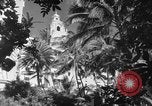 Image avions de chasse américains Hawaii USA, 1942, de la seconde 32 séquences d'archives historiques vidéo 65675072319