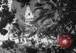 Image avions de chasse américains Hawaii USA, 1942, de la seconde 34 séquences d'archives historiques vidéo 65675072319