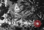 Image avions de chasse américains Hawaii USA, 1942, de la seconde 35 séquences d'archives historiques vidéo 65675072319