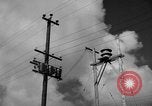 Image of man on palm tree Hawaii USA, 1942, second 8 stock footage video 65675072321