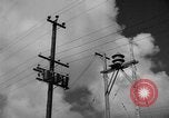 Image of man on palm tree Hawaii USA, 1942, second 12 stock footage video 65675072321