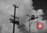 Image of man on palm tree Hawaii USA, 1942, second 14 stock footage video 65675072321