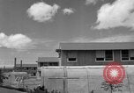 Image of man on palm tree Hawaii USA, 1942, second 50 stock footage video 65675072321