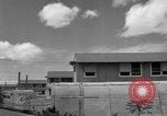 Image of man on palm tree Hawaii USA, 1942, second 58 stock footage video 65675072321