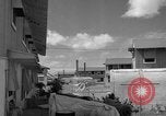 Image of man on palm tree Hawaii USA, 1942, second 61 stock footage video 65675072321