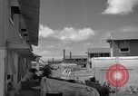 Image of man on palm tree Hawaii USA, 1942, second 62 stock footage video 65675072321