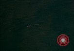 Image of Operation Downfall Kyushu Japan, 1945, second 18 stock footage video 65675072328