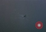 Image of Operation Downfall Kyushu Japan, 1945, second 24 stock footage video 65675072333