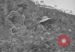 Immagine di Presidente e Madame Chiang Kai Shek Cina, 1948, secondo 20 filmato di repertorio 65675072370
