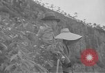 Immagine di Presidente e Madame Chiang Kai Shek Cina, 1948, secondo 23 filmato di repertorio 65675072370