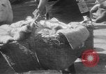 Image of Chinese refugees China, 1949, second 26 stock footage video 65675072371