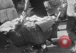 Image of Chinese refugees China, 1949, second 27 stock footage video 65675072371