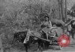 Image of Chinese refugees China, 1949, second 28 stock footage video 65675072371