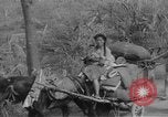 Image of Chinese refugees China, 1949, second 29 stock footage video 65675072371