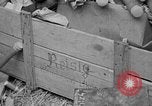 Immagine di Stati Uniti fanteria Monte Cassino in Italia, 1944, secondo 48 filmato di repertorio 65675072376