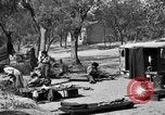 Immagine di Feriti soldati alleati Monte Cassino in Italia, 1944, secondo 5 filmato di repertorio 65675072377