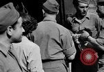 Immagine di Feriti soldati alleati Monte Cassino in Italia, 1944, secondo 47 filmato di repertorio 65675072377
