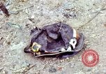 Standbild Tet Offensive Saigon Vietnam, 1968, aus Sekunde 8 historischem Filmmaterial Videoclip 65675072383