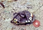 Standbild Tet Offensive Saigon Vietnam, 1968, aus Sekunde 10 historischem Filmmaterial Videoclip 65675072383