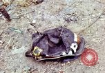 Standbild Tet Offensive Saigon Vietnam, 1968, aus Sekunde 12 historischem Filmmaterial Videoclip 65675072383