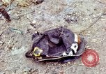 Standbild Tet Offensive Saigon Vietnam, 1968, aus Sekunde 13 historischem Filmmaterial Videoclip 65675072383