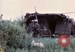 Image of Tet Offensive Saigon Vietnam, 1968, second 40 stock footage video 65675072385