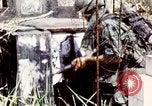 Image of Tet Offensive Saigon Vietnam, 1968, second 35 stock footage video 65675072387