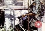 Image of Tet Offensive Saigon Vietnam, 1968, second 36 stock footage video 65675072387