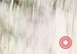 Image of Tet Offensive Saigon Vietnam, 1968, second 37 stock footage video 65675072387
