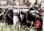 Image of Tet Offensive Saigon Vietnam, 1968, second 38 stock footage video 65675072387