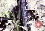 Image of Tet Offensive Saigon Vietnam, 1968, second 44 stock footage video 65675072387